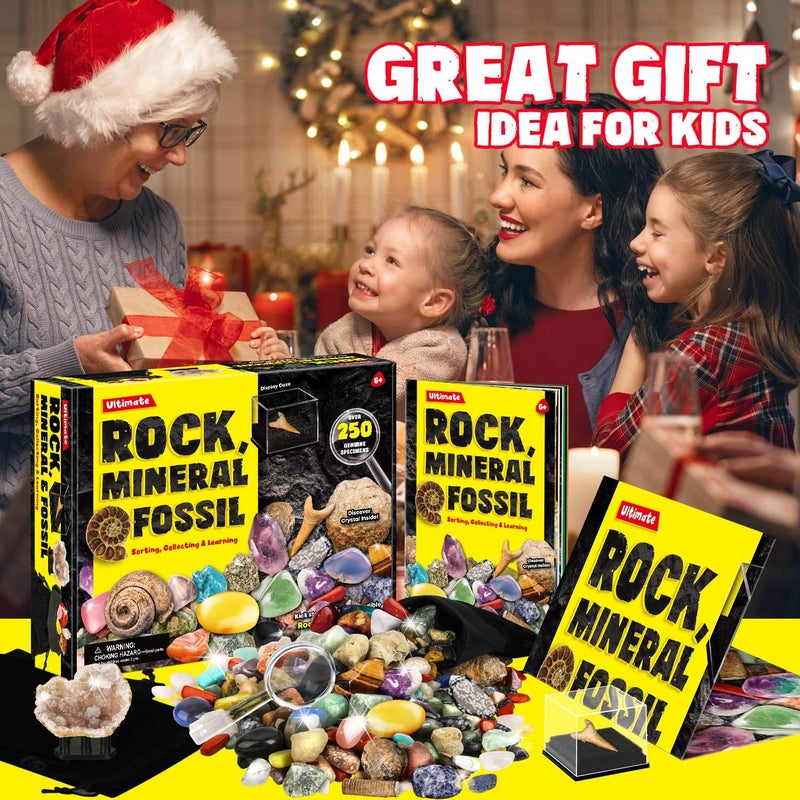 XX Rocks Minerals & Fossils Collection for Kids 250+ Real Gemstones and Crystals Rock Identification Kit Includes Display Case, Genuine Fossils, Geodes Great Geology, Science Gift for Boys & Girls - Image 5